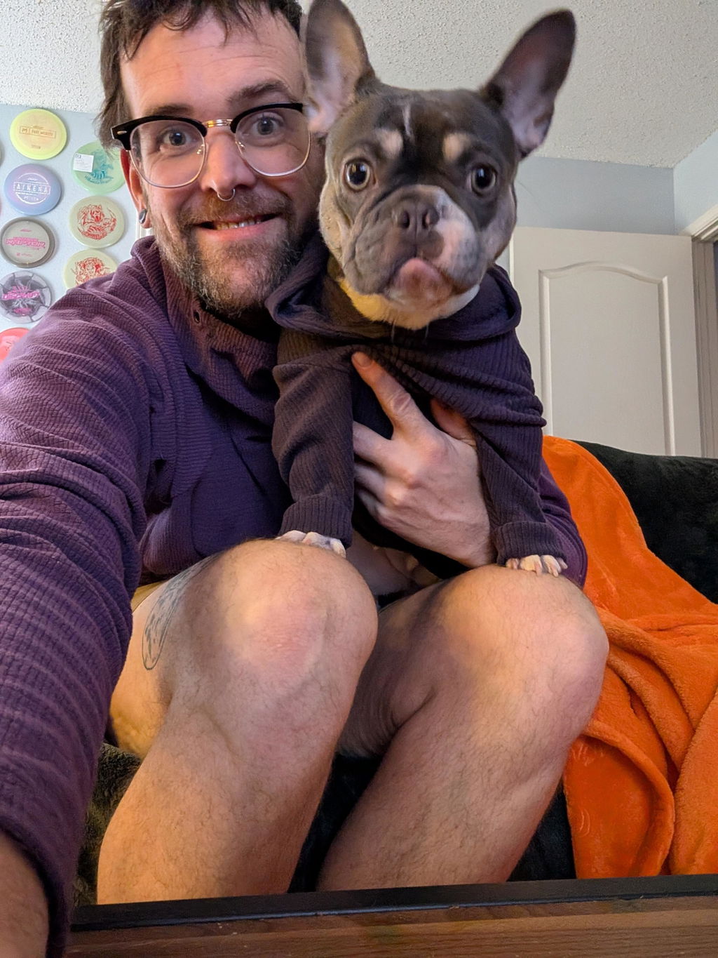Solid colored Eggplant -dog hoodie