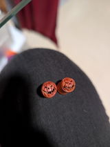 Bug review photo