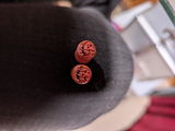 Bug review photo