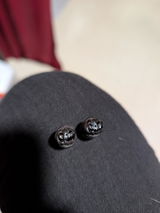 Bug review photo