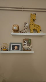 Pajic review photo