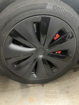 Raj review photo