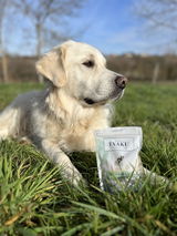Biscuits pour chien Poulet Romarin