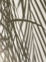 Dar H. review photo