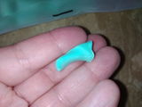 M.L. review photo