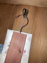 A.P. review photo
