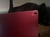 Olivia review photo