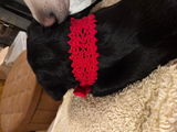Etsy customer review photo
