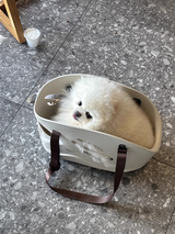 あやこ review photo