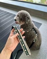 Yuskyyu review photo