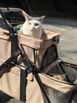 かんな review photo