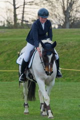 susan falconer review photo