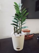 Smit Y. review photo