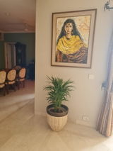 Neelam V. review photo