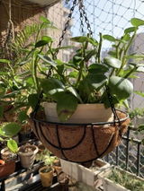 Priyanshi M. review photo