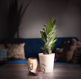 Asmita S. review photo