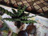 Manisha S. review photo