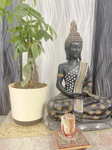 Sangeeta S. review photo