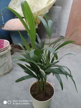 SARAVANAN S. review photo