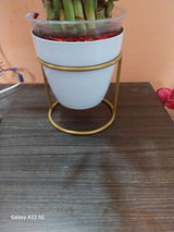 Vipin K. review photo