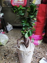Jai P. review photo
