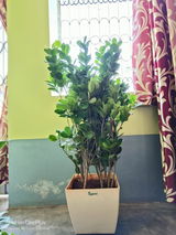 Subhadeep H. review photo