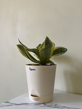 Vishal T. review photo