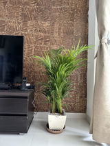 Sudipto S. review photo