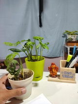 A.B. review photo