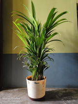 Subhadeep H. review photo