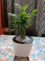 Sourav G. review photo