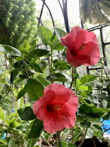 Aditi D. review photo
