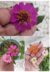 Vasihaider S. review photo