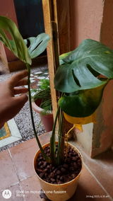 Richa T. review photo