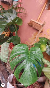 Richa T. review photo