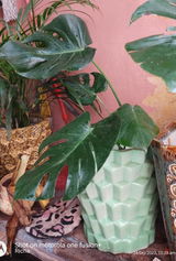 Richa T. review photo