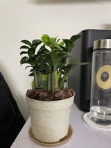 Dhruv B. review photo