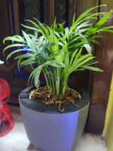 ARPAN G. review photo