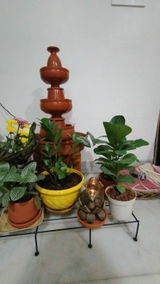 Nilima M. review photo