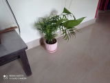 Aditi K. review photo