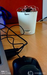 Arnab D. review photo