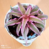 Arnab D. review photo