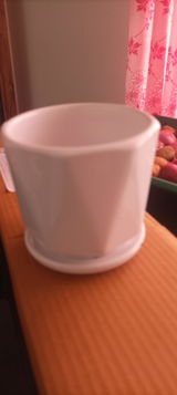 Soumya R. review photo
