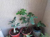 Snehal M. review photo