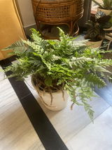 Anju D. review photo