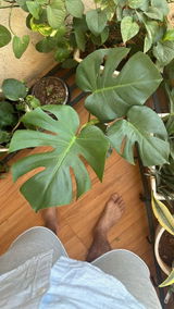 Mohita j. review photo