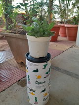Shreya M. review photo