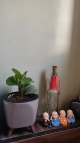Isha S. review photo