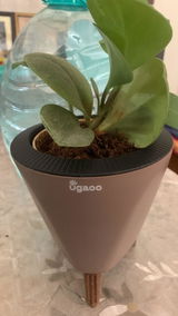 Deepakjot K. review photo