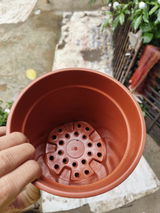 Your D.Q. review photo